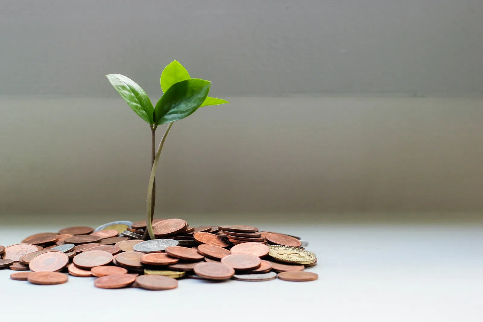 A beginner's guide to investing with financial growth concepts
